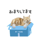 たいうにスタンプ（個別スタンプ：4）