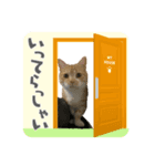 たいうにスタンプ（個別スタンプ：5）