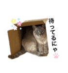 くらうのスタンプ（個別スタンプ：6）
