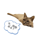 くらうのスタンプ（個別スタンプ：9）
