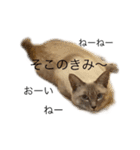 くらうのスタンプ（個別スタンプ：11）