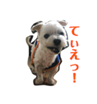 みょーれちゅ（個別スタンプ：6）