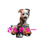 みょーれちゅ（個別スタンプ：9）