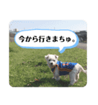 みょーれちゅ（個別スタンプ：15）