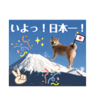 柴犬ぎんのスタンプ4（個別スタンプ：11）