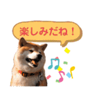 柴犬ぎんのスタンプ4（個別スタンプ：13）