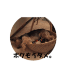 wanswanswans（個別スタンプ：18）