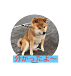 ほのぼの元気くん6️⃣（個別スタンプ：1）