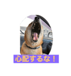 ほのぼの元気くん6️⃣（個別スタンプ：5）