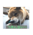 ほのぼの元気くん6️⃣（個別スタンプ：6）