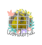 ピーちゃんあら可愛い（個別スタンプ：6）
