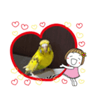 ピーちゃんあら可愛い（個別スタンプ：7）