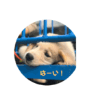 Buddykun（個別スタンプ：1）