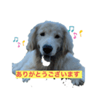 Buddykun（個別スタンプ：8）