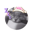 晴日くんです（個別スタンプ：1）