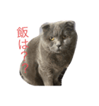 晴日くんです（個別スタンプ：2）