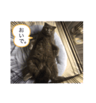 晴日くんです（個別スタンプ：4）