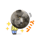 晴日くんです（個別スタンプ：6）