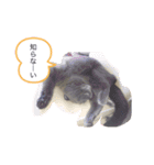晴日くんです（個別スタンプ：9）