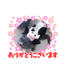 晴日くんです（個別スタンプ：10）