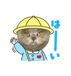 晴日くんです（個別スタンプ：12）