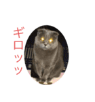 晴日くんです（個別スタンプ：13）