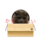 晴日くんです（個別スタンプ：14）
