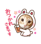 茶トラのムク（個別スタンプ：8）