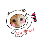 茶トラのムク（個別スタンプ：10）