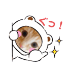茶トラのムク（個別スタンプ：11）