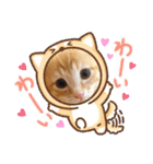 茶トラのムク（個別スタンプ：28）