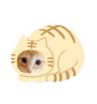 茶トラのムク（個別スタンプ：32）