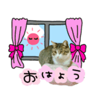 ポテト先生♡（個別スタンプ：1）