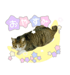 ポテト先生♡（個別スタンプ：2）