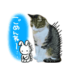 ポテト先生♡（個別スタンプ：4）
