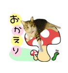 ポテト先生♡（個別スタンプ：7）