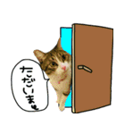 ポテト先生♡（個別スタンプ：8）