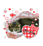 ポテト先生♡（個別スタンプ：10）