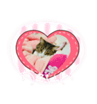 ポテト先生♡（個別スタンプ：13）