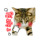 ポテト先生♡（個別スタンプ：15）