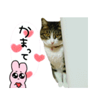 ポテト先生♡（個別スタンプ：18）
