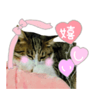 ポテト先生♡（個別スタンプ：22）
