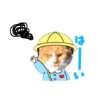 野良猫の日常 その2（個別スタンプ：11）