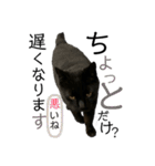 冨樫くろの会話スタンプ①（個別スタンプ：7）