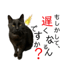 冨樫くろの会話スタンプ①（個別スタンプ：14）