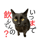 冨樫くろの会話スタンプ①（個別スタンプ：19）