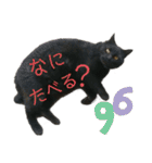 冨樫くろの会話スタンプ①（個別スタンプ：31）