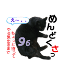 冨樫くろの会話スタンプ①（個別スタンプ：33）
