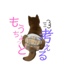 はるろんスタンプ（個別スタンプ：8）