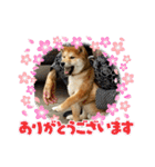 はるろんスタンプ（個別スタンプ：9）
